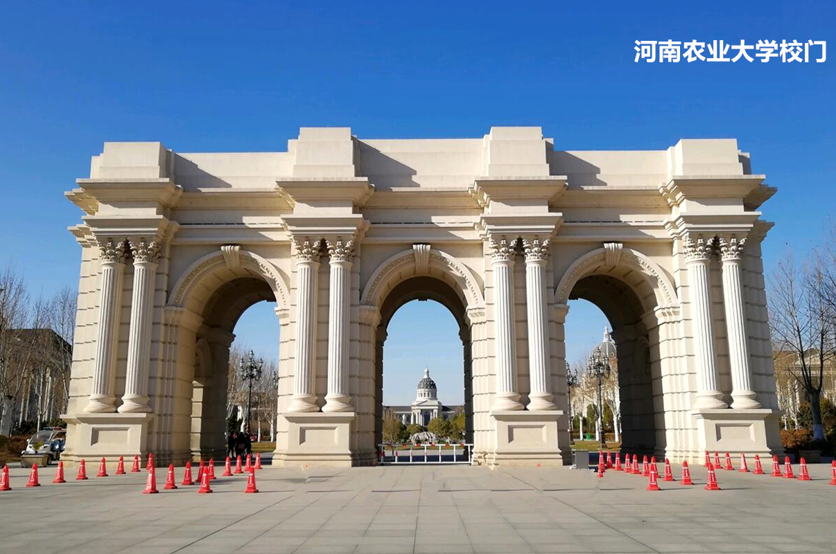 河南综合实力比较强，比较好的高校有哪些  第5张
